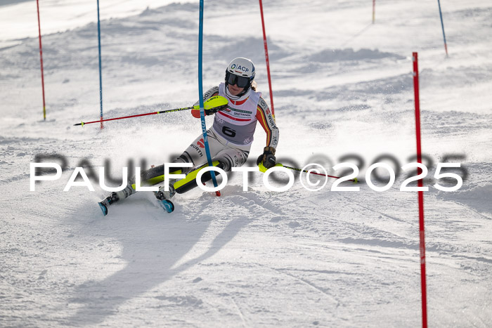 NJC Slalom Damen 15.02.2025