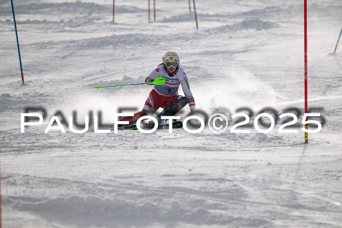 NJC Slalom Damen 15.02.2025