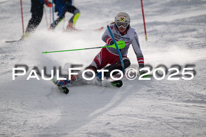 NJC Slalom Damen 15.02.2025