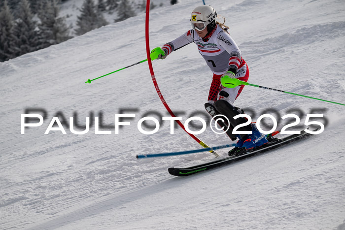 NJC Slalom Damen 15.02.2025