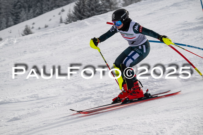 NJC Slalom Damen 15.02.2025
