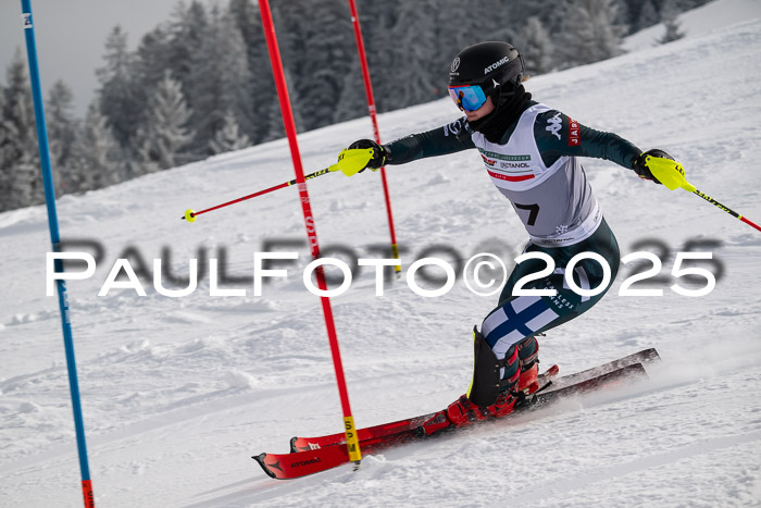 NJC Slalom Damen 15.02.2025