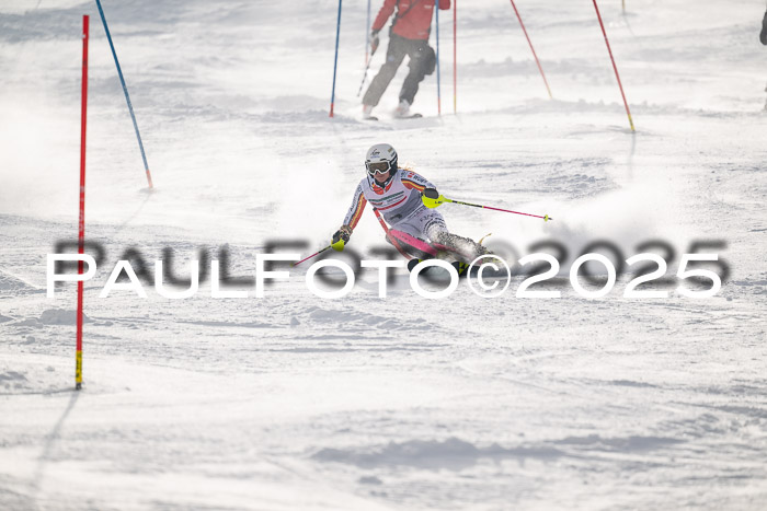 NJC Slalom Damen 15.02.2025