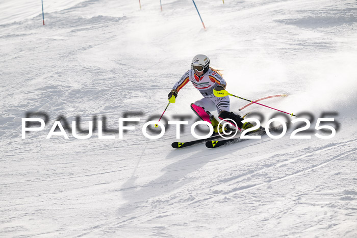 NJC Slalom Damen 15.02.2025