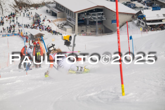 NJC Slalom Damen 15.02.2025