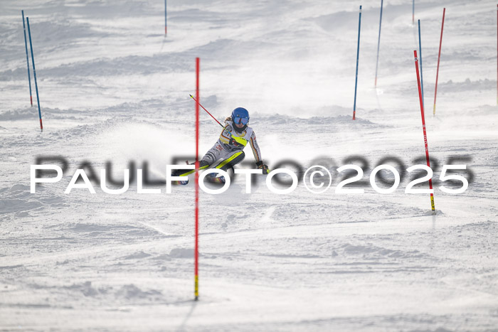 NJC Slalom Damen 15.02.2025