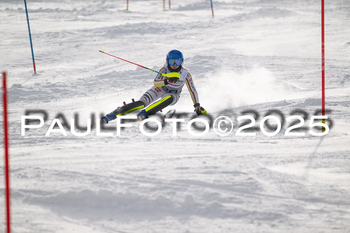 NJC Slalom Damen 15.02.2025