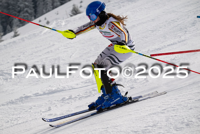 NJC Slalom Damen 15.02.2025