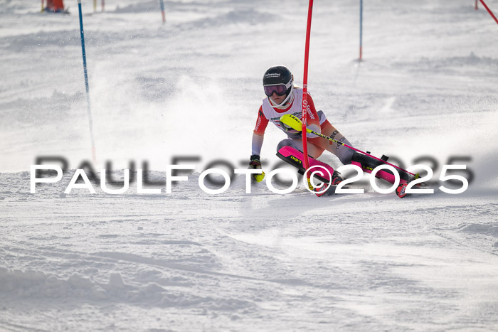 NJC Slalom Damen 15.02.2025