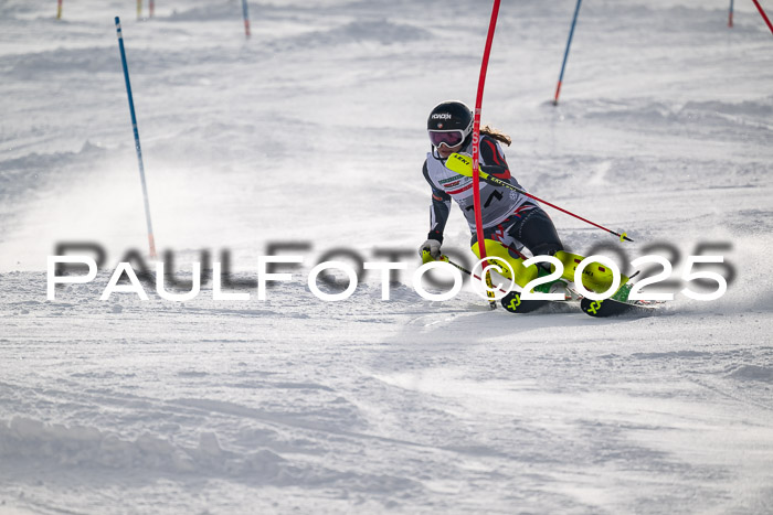 NJC Slalom Damen 15.02.2025