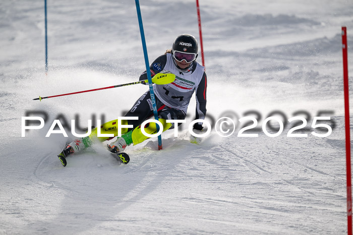 NJC Slalom Damen 15.02.2025