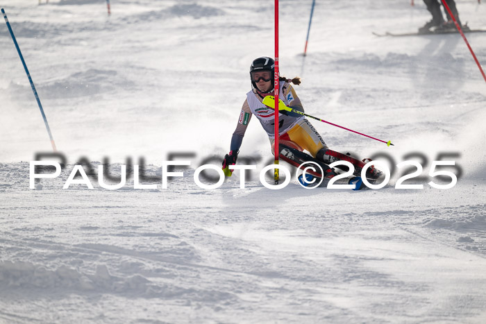 NJC Slalom Damen 15.02.2025
