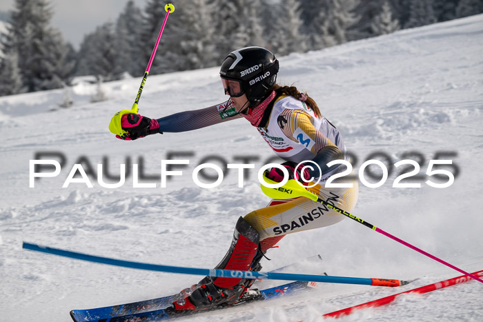 NJC Slalom Damen 15.02.2025