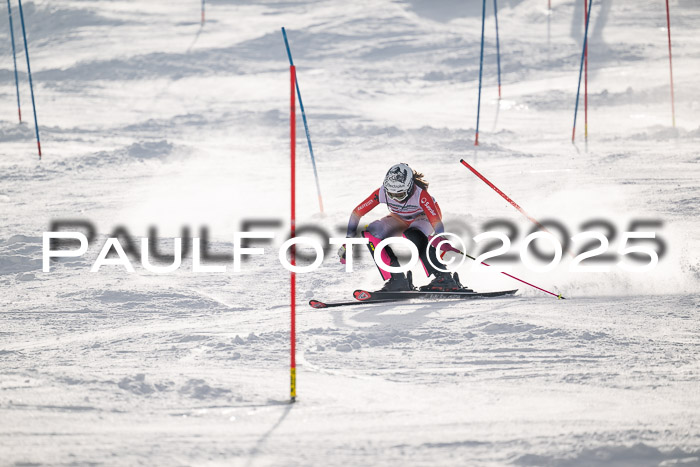 NJC Slalom Damen 15.02.2025