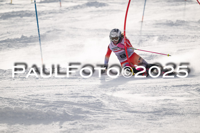 NJC Slalom Damen 15.02.2025