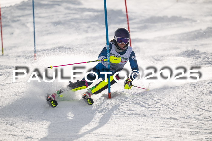 NJC Slalom Damen 15.02.2025