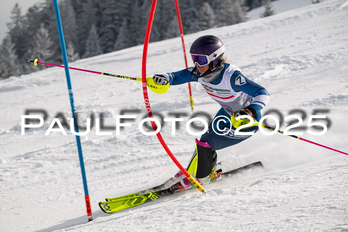 NJC Slalom Damen 15.02.2025