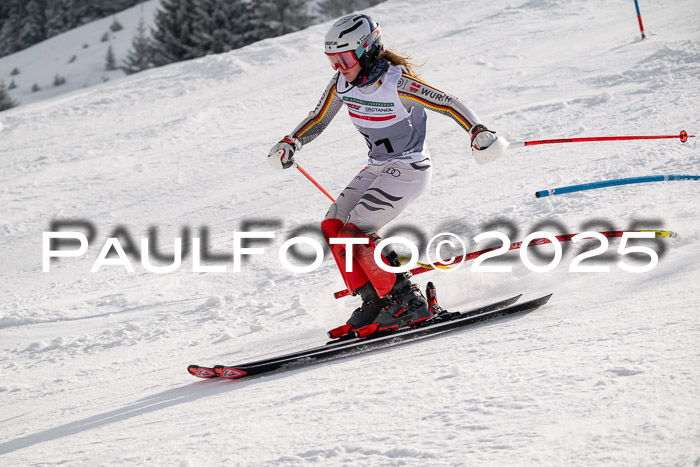 NJC Slalom Damen 15.02.2025