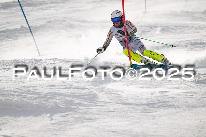 NJC Slalom Damen 15.02.2025