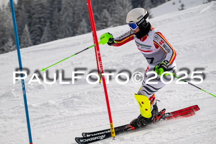 NJC Slalom Damen 15.02.2025