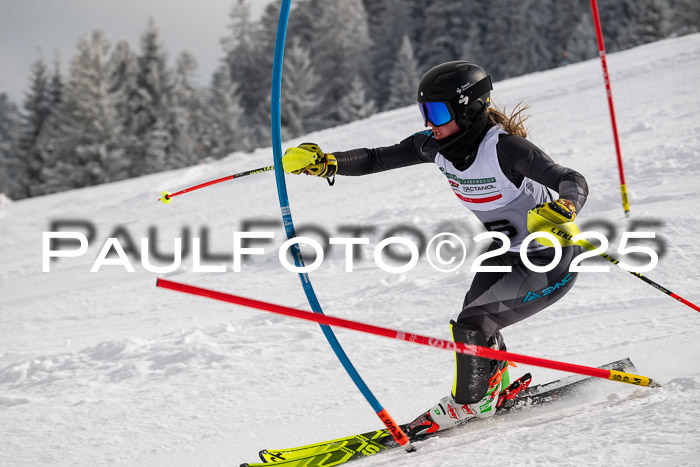 NJC Slalom Damen 15.02.2025