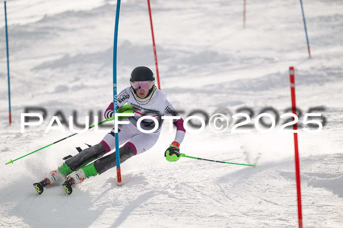 NJC Slalom Damen 15.02.2025
