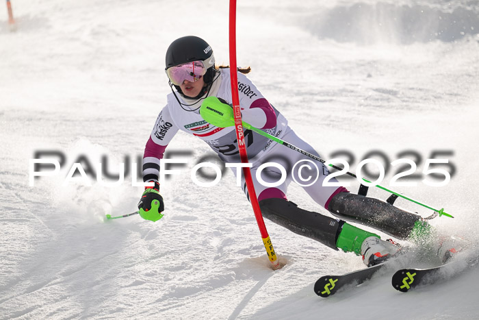 NJC Slalom Damen 15.02.2025