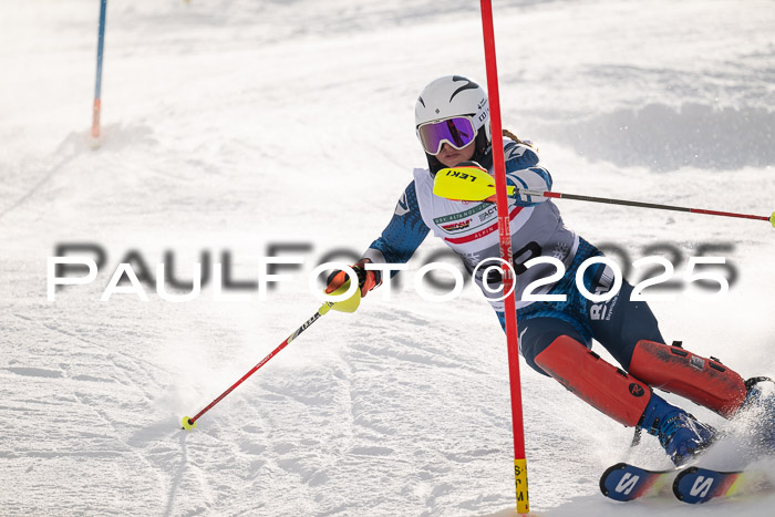 NJC Slalom Damen 15.02.2025