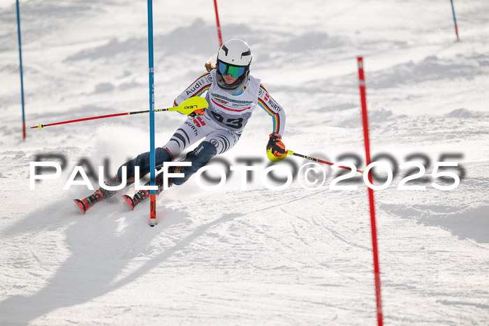 NJC Slalom Damen 15.02.2025