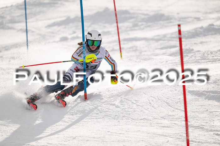 NJC Slalom Damen 15.02.2025