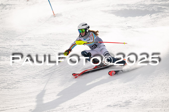 NJC Slalom Damen 15.02.2025