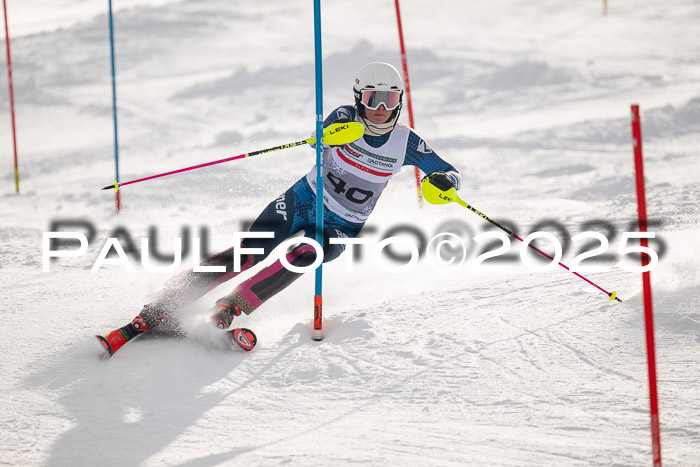 NJC Slalom Damen 15.02.2025