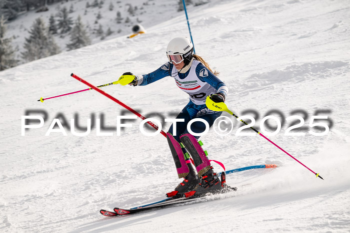 NJC Slalom Damen 15.02.2025