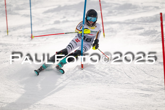 NJC Slalom Damen 15.02.2025