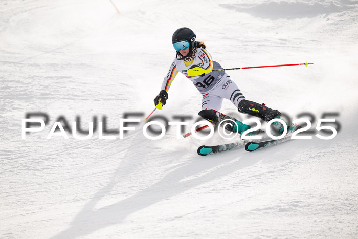 NJC Slalom Damen 15.02.2025