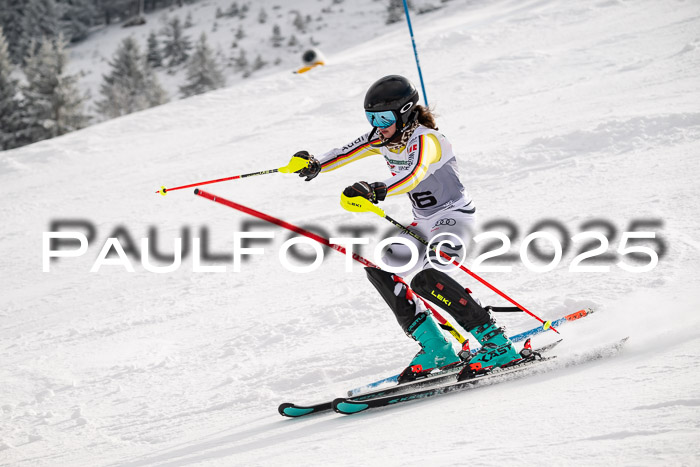 NJC Slalom Damen 15.02.2025
