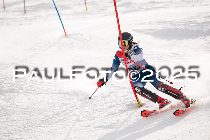 NJC Slalom Damen 15.02.2025