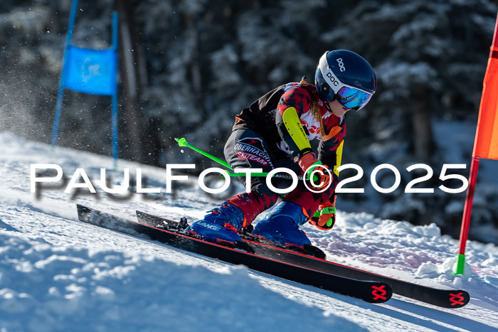 Deutscher Schülercup U12 RSX,  Region 4 -15.02.2025