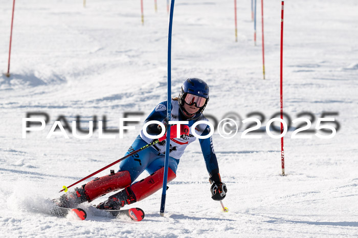 DSV ELK Schülercup Alpin U14 SL, 22.02.2025