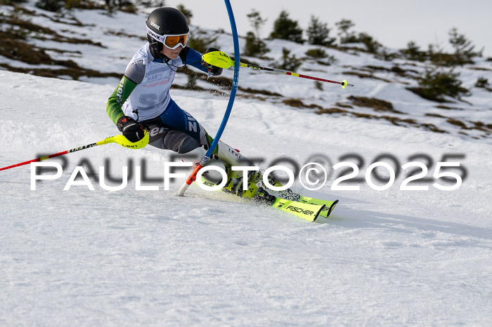 DSV ELK Schülercup Alpin U14 SL, 22.02.2025