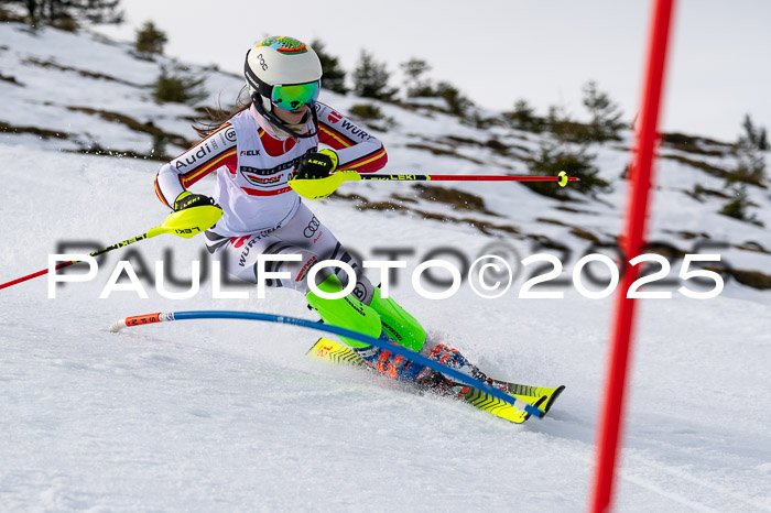 DSV ELK Schülercup Alpin U14 SL, 22.02.2025