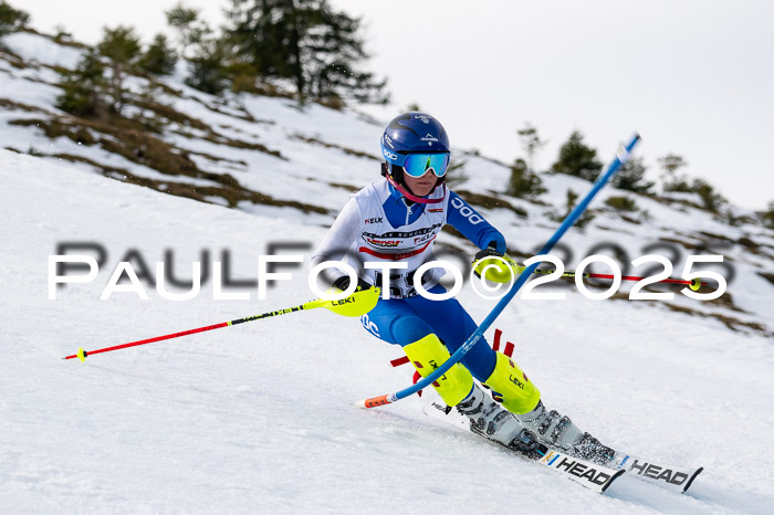 DSV ELK Schülercup Alpin U14 SL, 22.02.2025