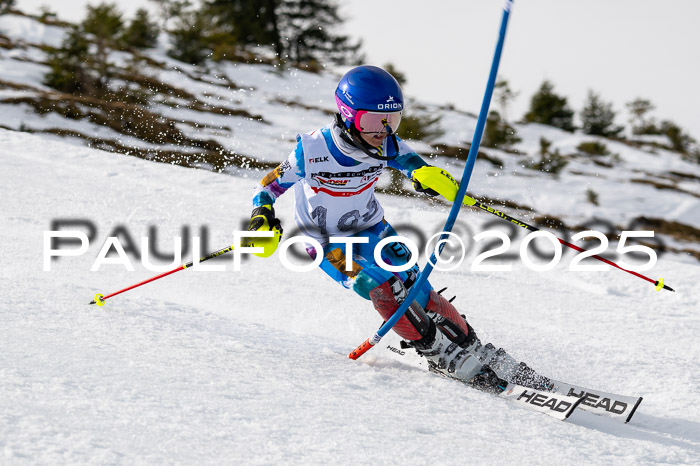 DSV ELK Schülercup Alpin U14 SL, 22.02.2025