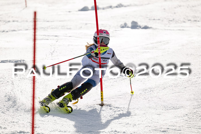 DSV ELK Schülercup Alpin U14 SL, 22.02.2025