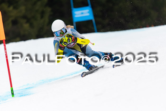 DSV ELK Schülercup Alpin U14 SL, 22.02.2025