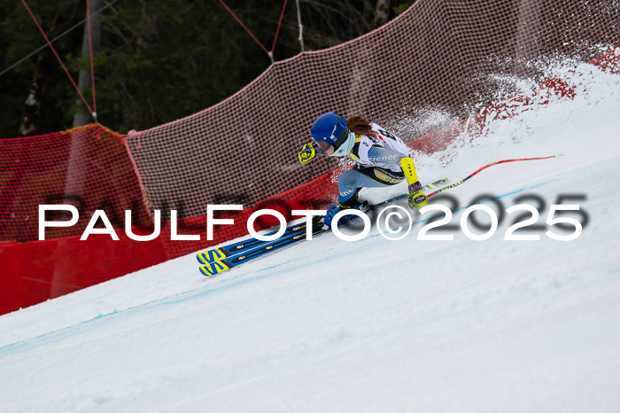 DSV ELK Schülercup Alpin U14 SL, 22.02.2025