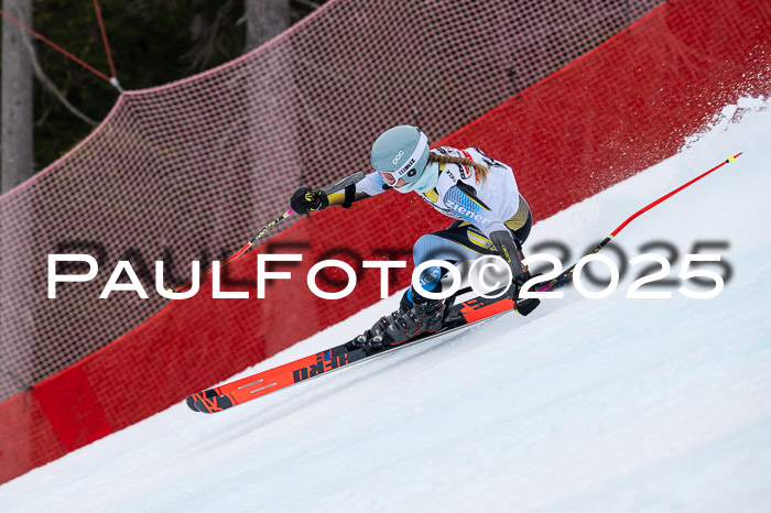 DSV ELK Schülercup Alpin U14 SL, 22.02.2025