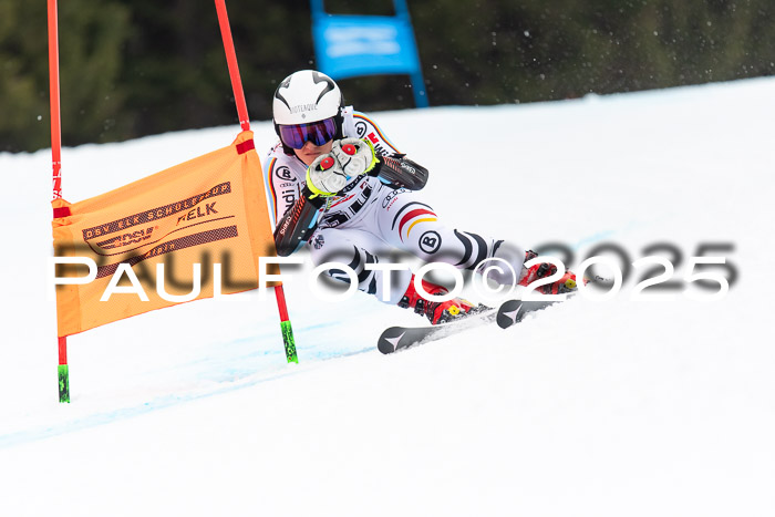 DSV ELK Schülercup Alpin U14 SL, 22.02.2025