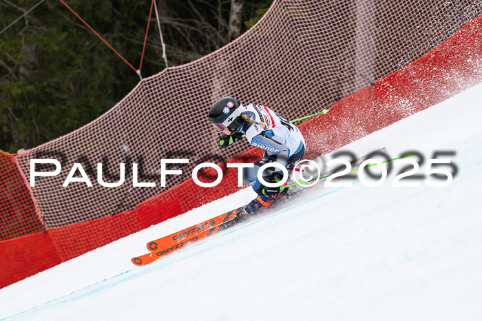 DSV ELK Schülercup Alpin U14 SL, 22.02.2025