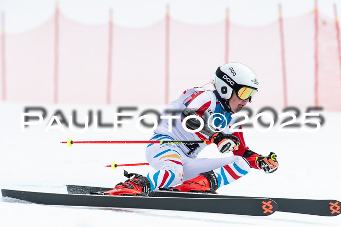 DSV ELK Schülercup Alpin U14 SL, 22.02.2025